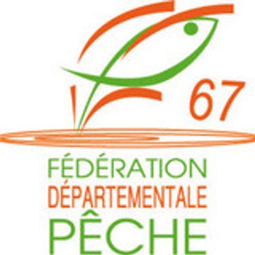 David Pierron
