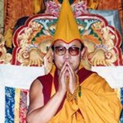 lobsang snowdavid