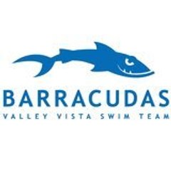 VVST_Barracudas