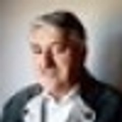 Lutz Peter Fiedler