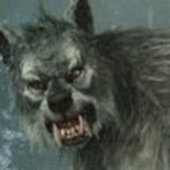 runok