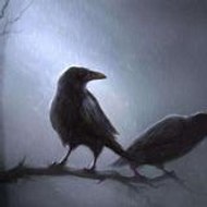 Black Raven