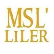 MimarSinanLisesi Mezunları