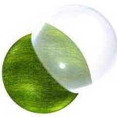 Terra in Design