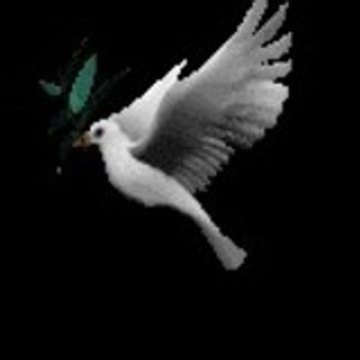 jean-jacques lavoir
