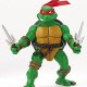 Turtle Man