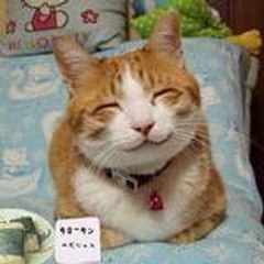 sumichan