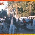 ameed addou