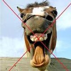 Odeio_Cavalos