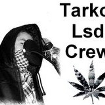 tarkor officiel