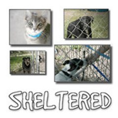 Sheltered