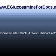 eglucosaminefordogs
