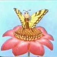 Indian_Butterfly