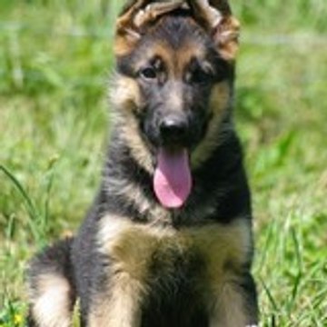 DesSeigneursdeMontbel