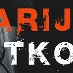 Gitarijada Ratkovo
