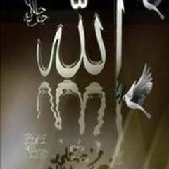ADIMSEHADET