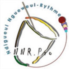 NNR-Pro