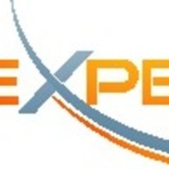 V.I. Experts, Inc.