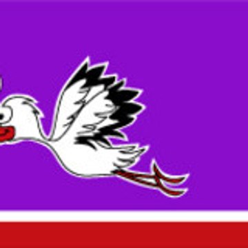 yurtsuz net