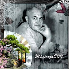 MISTERJO500