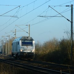 Thomas M