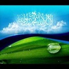 salam salam
