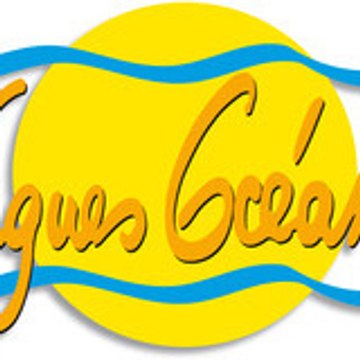 Vagues Océanes