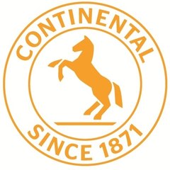 Division Chassis & Safety der Continental AG