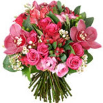 Aquarelle Fleurs