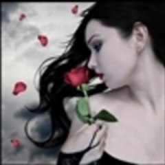 Gam_Seli_
