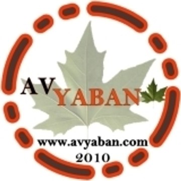 avyaban
