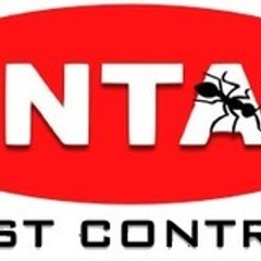 antacpest