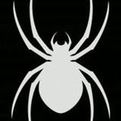 BrotherBlaccspider