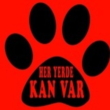 Her Yerde Kan Var