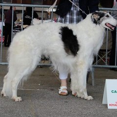 Françoise Bourrasset