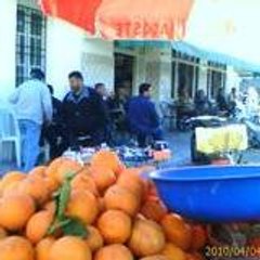 hamma ajmi