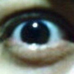 King of The Universe