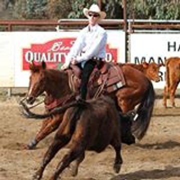 Bulik Training Stables
