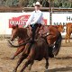 Bulik Training Stables