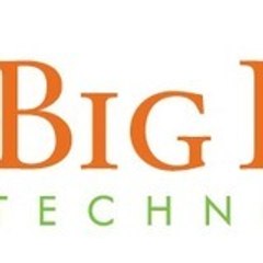 Big Fish Technology Big Fish Technology