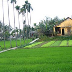 BINHCONG1975
