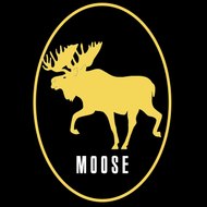 TheSolidMoose
