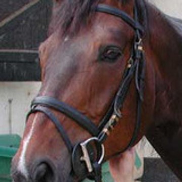 Tashunco