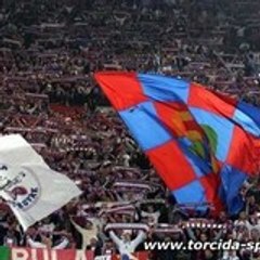 torcidaliege