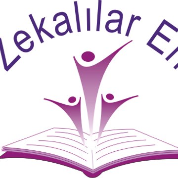 Üstün Zekalılar Enstitüsü