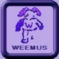 Weemus Studio