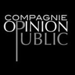 opinion public