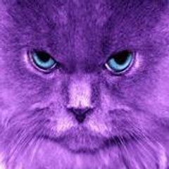 dortislemFX