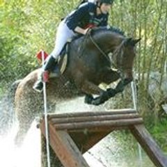 Mécanique Equestre