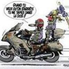 loulou-67